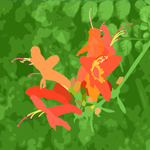 vector illustration of spring flowers