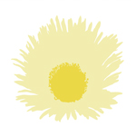 flower that looks like a sun with rays