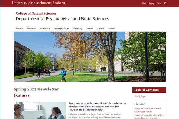 website layout